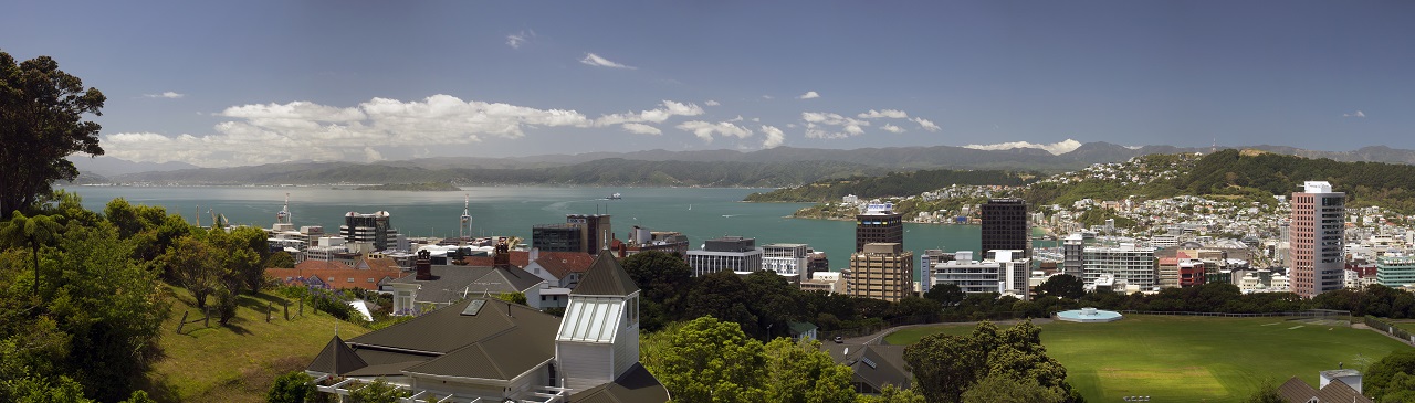 Skyline von Wellington mit Blick aufs Meer